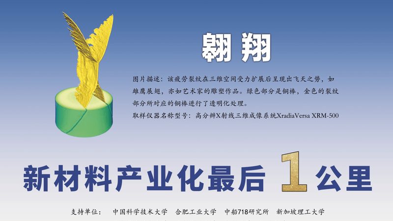 食品级无机化工原料定制流程揭秘：从选材到认证的严谨之路