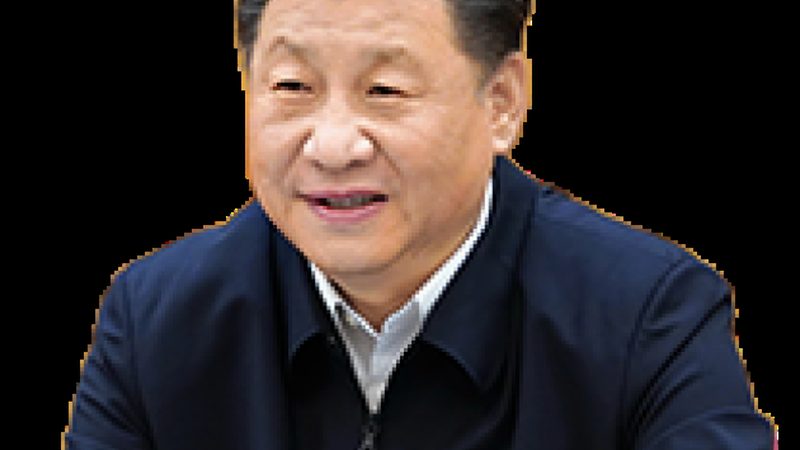 工业添加剂代理加盟，合作模式揭秘**
